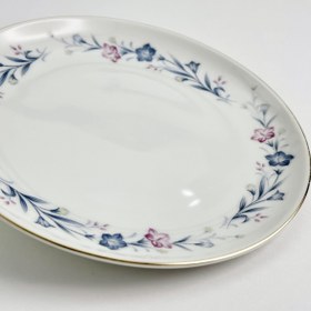 تصویر پیش دست هاسامی 