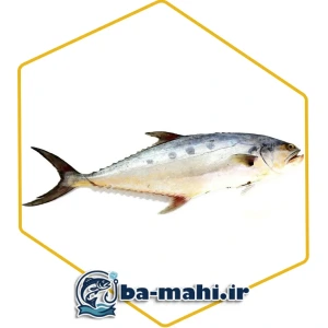 تصویر فروشگاه با ماهی