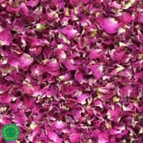 تصویر گل محمدی | برگ گل محمدی | گل سرخ 