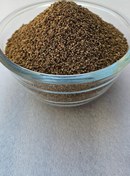 تصویر زنیان (اجغول) - ۵۰۰ گرم Ajwain