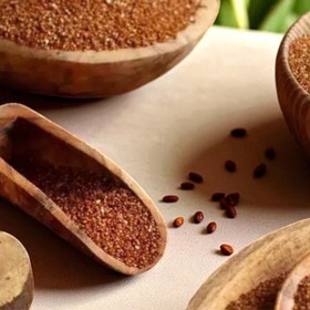 تصویر خاکشیر 