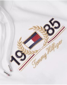 تصویر سویشرت مردانه تامی هیلفیگر Tommy Hilfiger اورجینال MW0MW34410YBR 