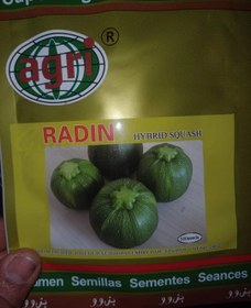 تصویر کدو گرد سبز تیره رادین Radin hybrid squash