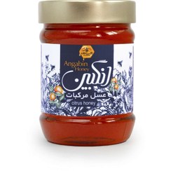 تصویر عسل ۵۰۰ گرمی مرکبات 