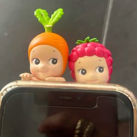 تصویر سانی انجل میوه ای(انتخابی) 