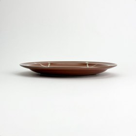 تصویر بشقاب مینو 