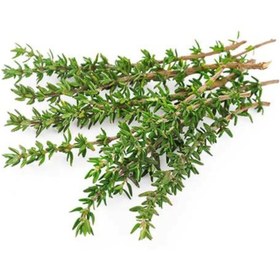 تصویر بذر مرزنجوش 100 عددی 