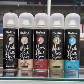 تصویر اسپری رنگ مو پادینا 