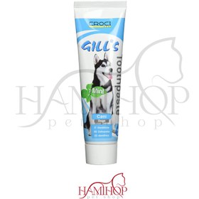 تصویر خمیر دندان نعنایی سگ جیلز Gills Mint Toothpaste وزن 100 گرم 