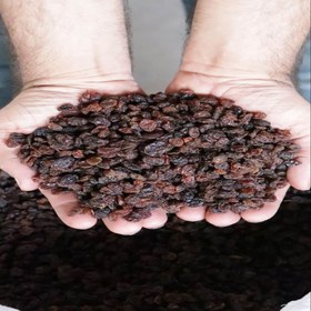 تصویر کشمش آبگیری 