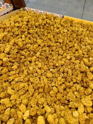 تصویر توت خشک درجه یک یک کیلویی 