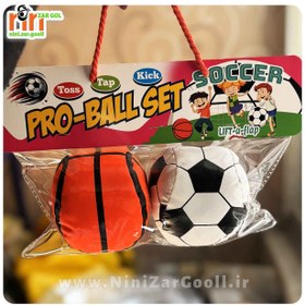 تصویر توپ بازی Pro-Ball set 