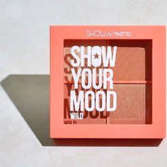 تصویر پالت رژ گونه پاستل مدل DREAMY 