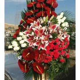 تصویر تاج گل برای تالار حافظ شیراز جردن پارک ملت 100a586 