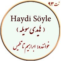 تصویر نت 93. هایدی سویله 