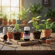 تصویر کود مایع عصاره جلبک دریایی Seastar-F امکس انگلستان | افزایش رشد و مقاومت گیاه 