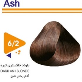 تصویر رنگ مو گیاهی ویتامول سری Smoky مدل Dark Blonde شماره 6.2 