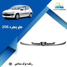 تصویر جلو پنجره ۲۰۶ 