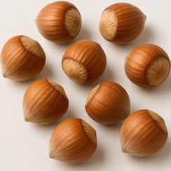 تصویر فندق تازه اشکورات 