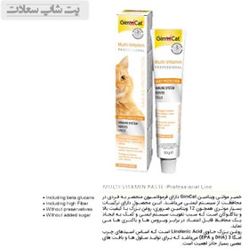 تصویر خمیر مالت و مولتی ویتامین گربه جیم کت (Gim Cat) مدل GimCat Paste Multi Vitamin وزن 100 گرم 