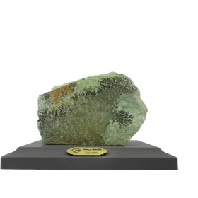 تصویر سنگ شجر فسیلی (دندریتی ) 6446 