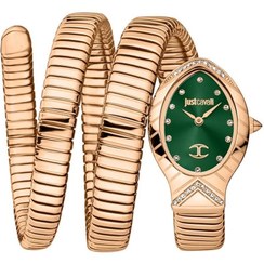 تصویر ساعت زنانه استیل ضد زنگ سبز Just Cavalli Classico Lungo مدل JC1L248M0045 برند justcavalli Just Cavalli Classico Lungo Women Green Stainless Steel Watch JC1L248M0045