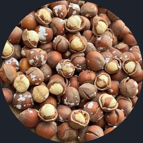 تصویر فندق برشته نمکی و برشته بدون نمک دستچین و پاکسازی شده