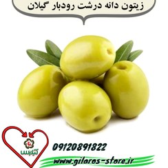 تصویر زيتون درجه یک و ( دانه درشت) گیلان 1 کیلو گرمی 