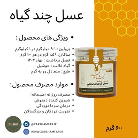 تصویر عسل گیاهان کوهی کرمانشاه ۶۰۰ گرمی Honey of mountain plants