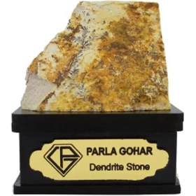 تصویر سنگ شجر فسیلی (دندریتی ) کد 2358 