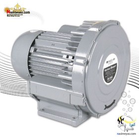 تصویر پمپ هوای مرکزی بلوئر مدل 125 هایلا Hailea VB-125G Impellor Vortex Air Blower