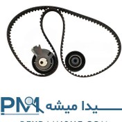 تصویر کیت تسمه تایم 206 تیپ 5 برند آی ان آ 