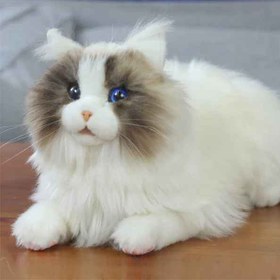 تصویر گربه رباتیک متا کت 