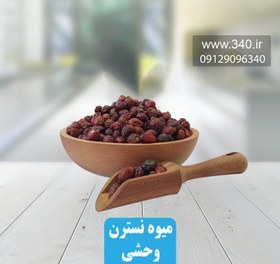 تصویر میوه نسترن وحشی 500 گرم خواص و عوارض میوه نسترن 