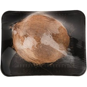 تصویر نارگیل سایز بزرگ 