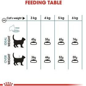 تصویر تغذیه مراقبت از گربه برای کنترل توپ مو ۲ کیلوگرم برند royal canin Feline Care Nutrition Hairball Care 2 KG