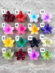 تصویر کلیپس پلومریا کریستالی ۴ سانت 