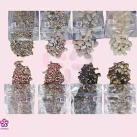 تصویر سنگ و صدف در 9 مدل 