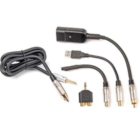 تصویر IFI Audio Groundhog+ Ground Loop Isolator For Audio Systems 