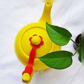 تصویر نگهدارنده درب قوری 