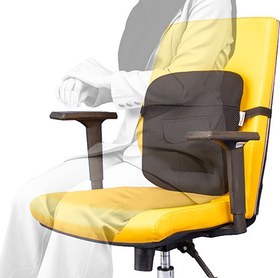 تصویر پشتی طبی باراد 