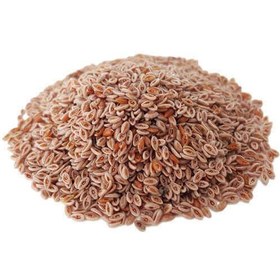 تصویر اسفرزه 