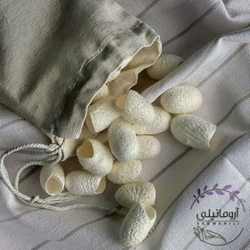 تصویر پیله ابریشم آرومانیلی (بسته ده عددی) | Aromanili Silk Cocoon 