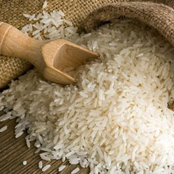 تصویر انواع برنج 