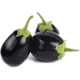 تصویر بادمجان دلمه ای Eggplant