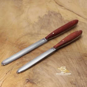 تصویر مسقل استاد منفرد 