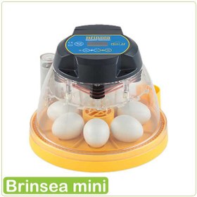 تصویر دستگاه جوجه کشی برینسا مینی ، 7 تایی | Brinsea mini II 