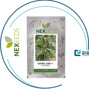 تصویر بذر خیار گلخانه ای لیانا ۱۰۰۰ عدد 