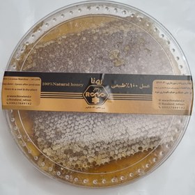 تصویر عسل موم دار گون رونا - 1460 