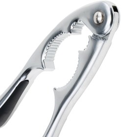 تصویر هونگل فندق شکن 